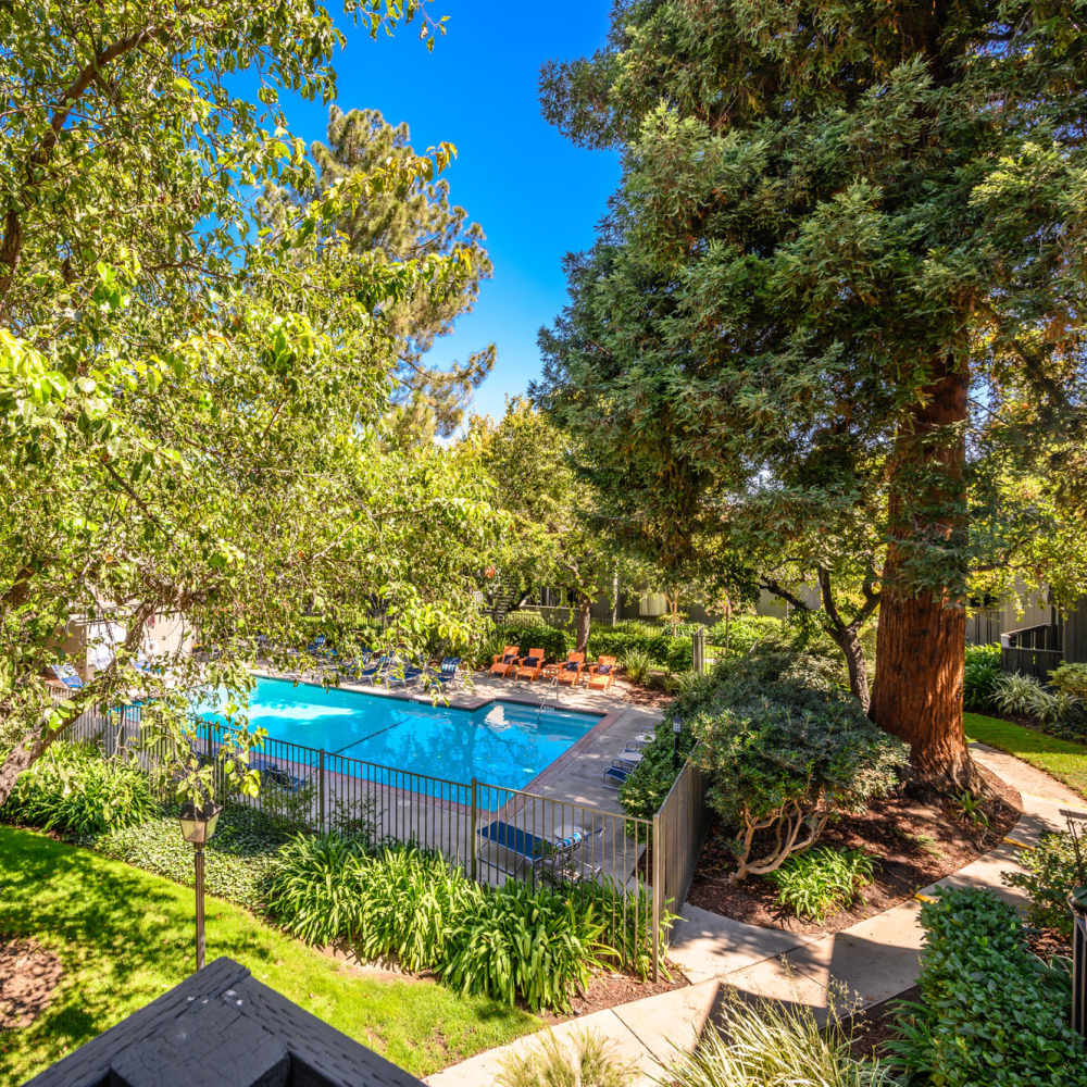 Walkway and plantation around the community swimming pool at Vista in San Jose, California