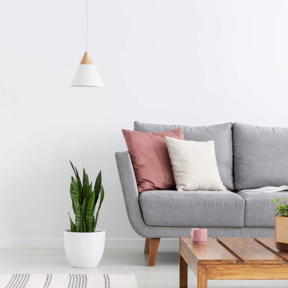Living room at The Warwick at Foundry Creek in Richmond, Virginia