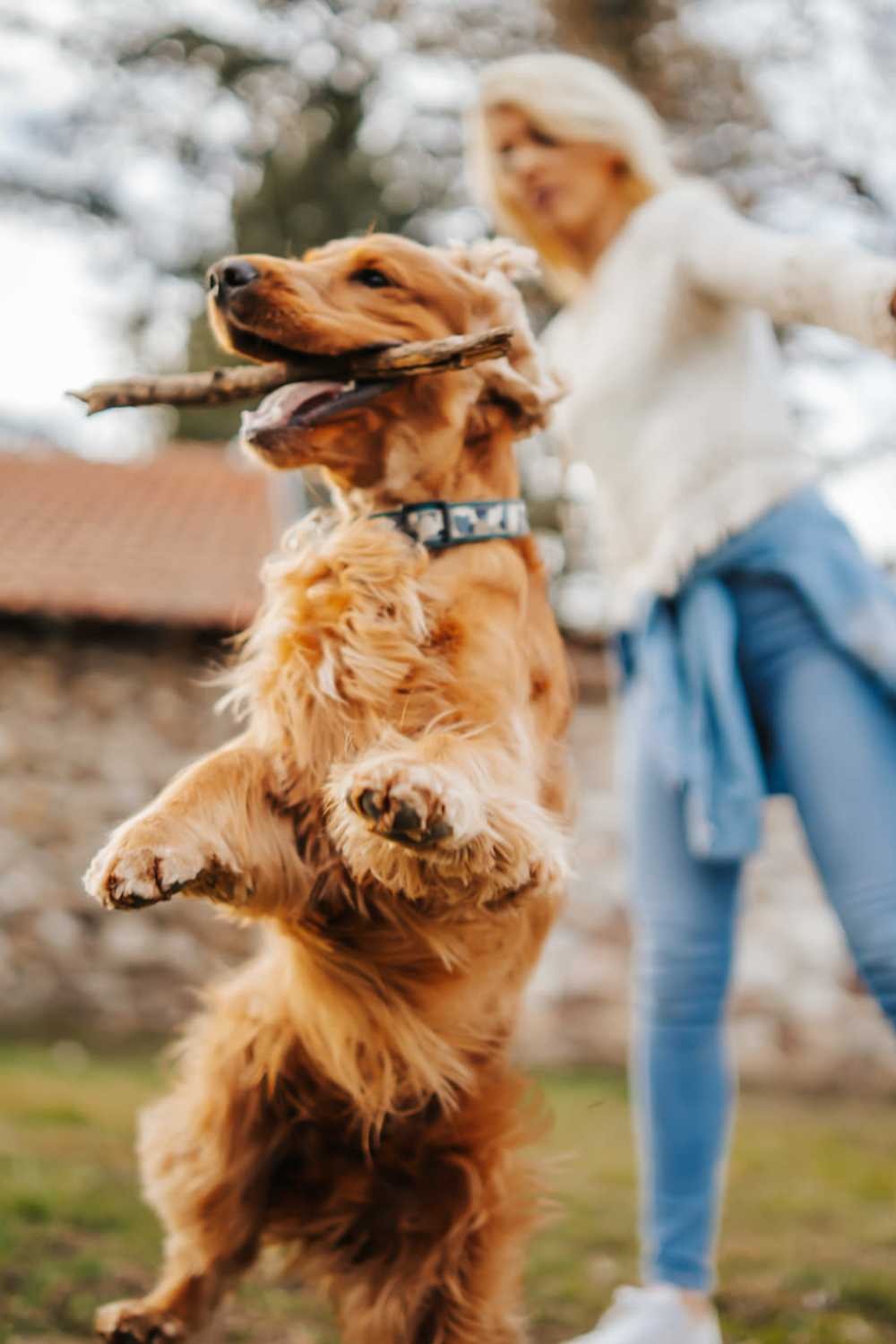 Woman playing fetch with her dog at The Annex at Bridgeton in Portland, Oregon