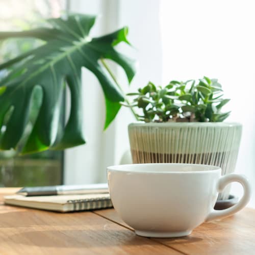 Dining table with a mug and plant at Images Condominiums in Kissimmee, Florida