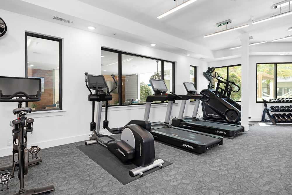 Fitness room with weight bench at SoBA Apartments in Jacksonville, Florida
