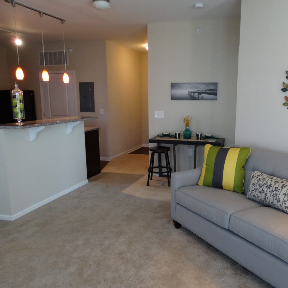 Resident living room with plush carpeting at Oak Grove Crossing Apartments in Newburgh, Indiana