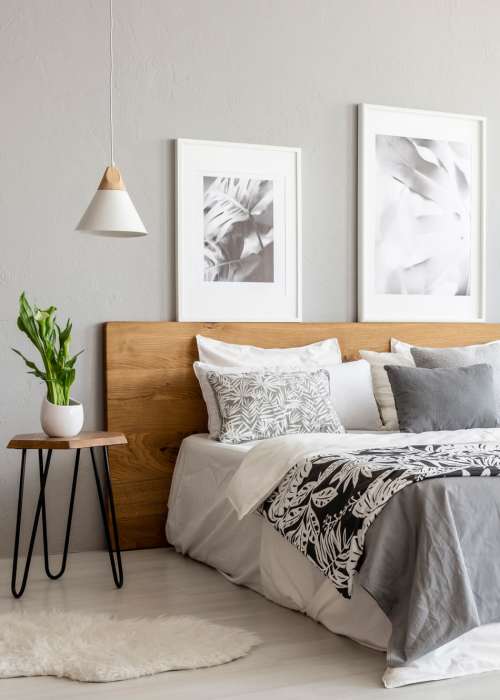 View floor plans at Wyld Palms in Foley, Alabama