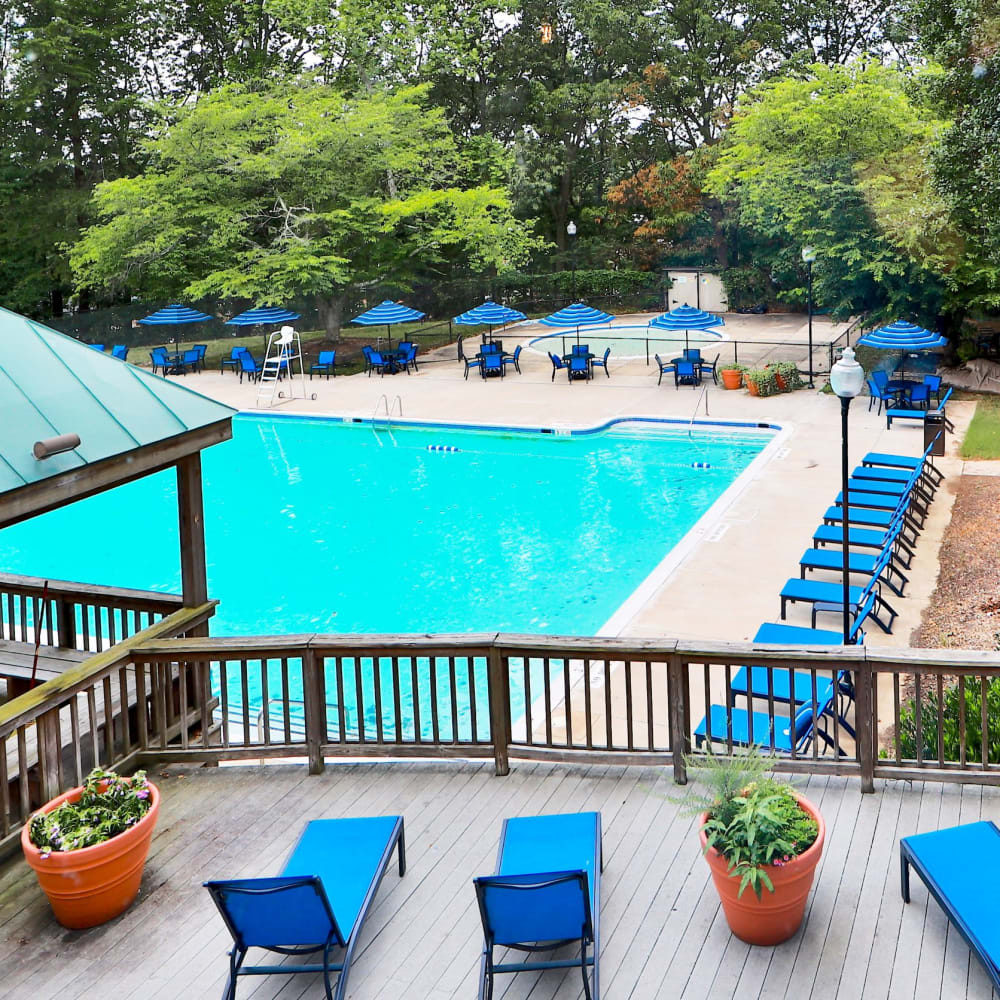 Swimming pool surrounded by lounge chairs at Brookdale at Mark Center Apartment Homes in Alexandria, Virginia