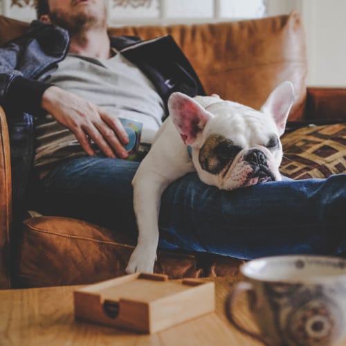 Resident and his dog napping on the couch in their new home at Walden at Chatham Center in Savannah, Georgia