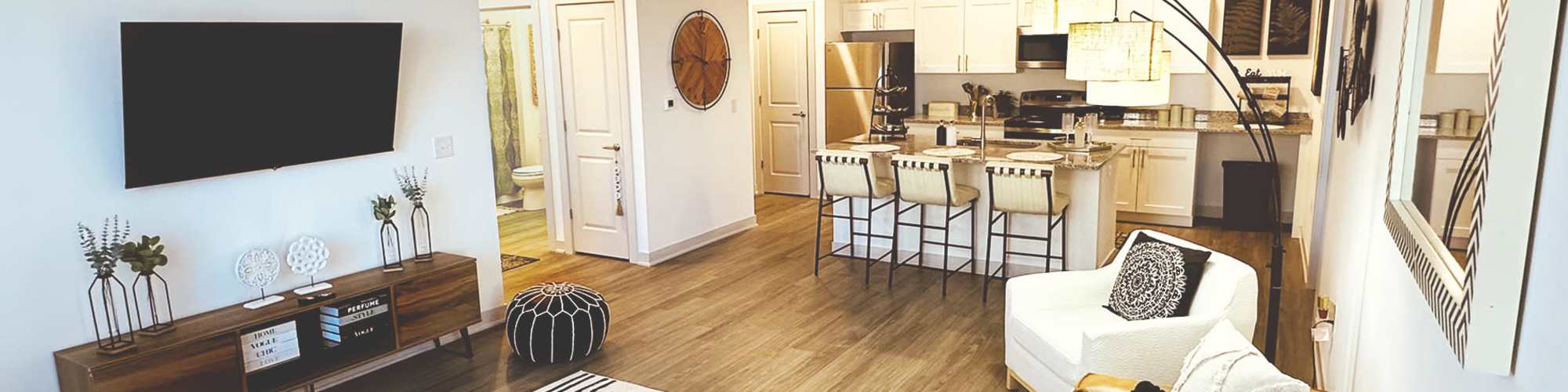 Living room and kitchen