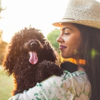 Pet-friendly at City Summit Apartments in San Antonio, Texas