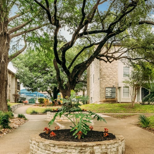 Outdoor area with lots of greenery at Pearl Park in San Antonio, Texas