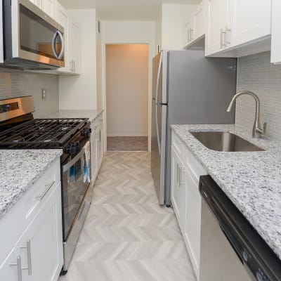 Virtual tour of a renovated one bedroom apartment at The Carlyle Apartments in Baltimore, Maryland
