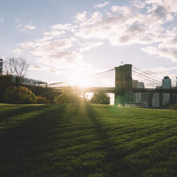 Explore the neighborhood around Shore Hill in Brooklyn, New York
