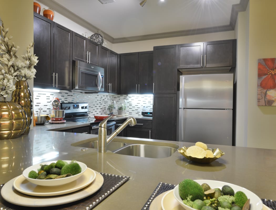 Modern kitchen at Emory Point