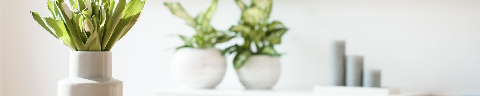Reviews of Diablo Pointe in Walnut Creek, California