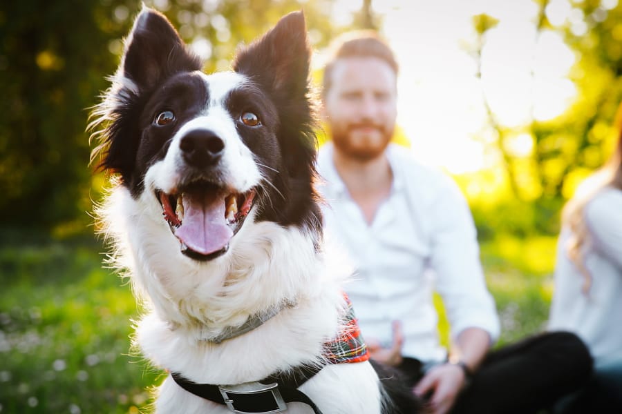Residents with their dog near Johnston Heights in Johnston, Iowa