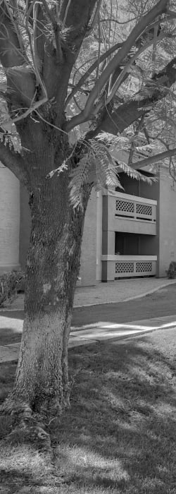 Serena Shores Apartments in Gilbert, Arizona