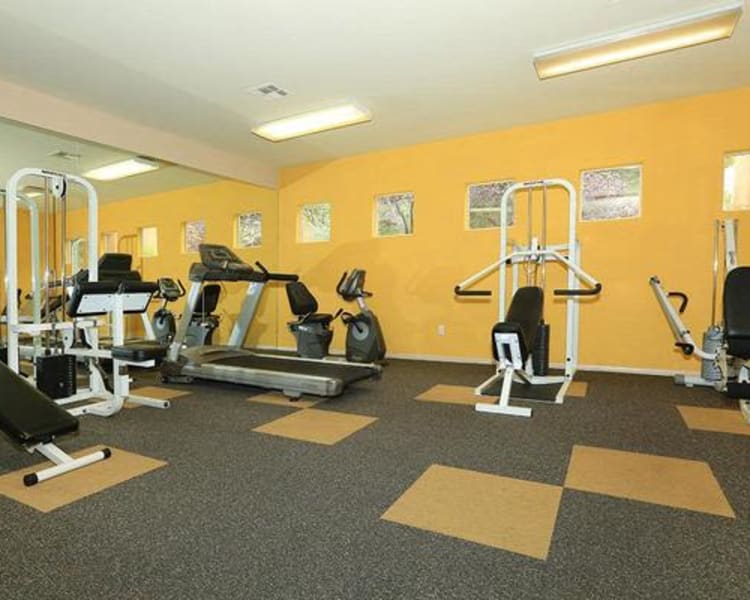 Well-equipped onsite fitness center at Alterra Apartments in Las Vegas, Nevada