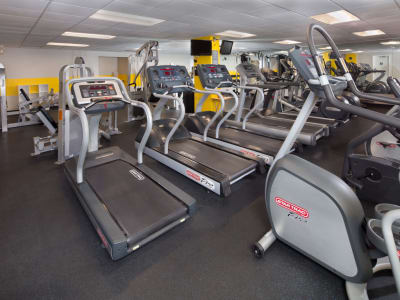 Amenities at Stoneridge at Mark Center Apartment Homes