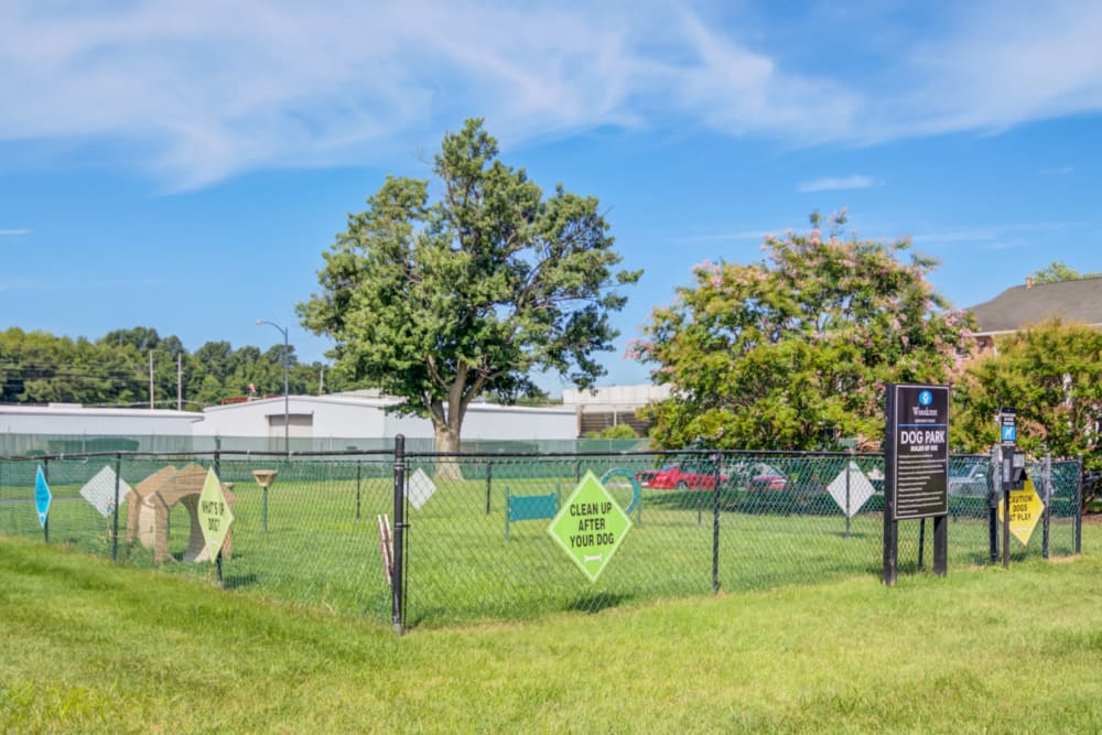 Fenced dog park