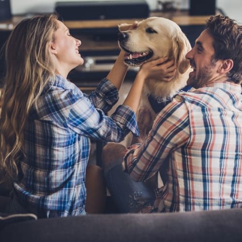 Two residents petting a dog at Silver Strand II in Coronado, California