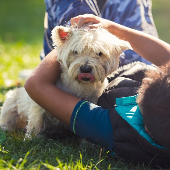 Cute puppy playing with a child in the grass at City View in Lansing, Michigan