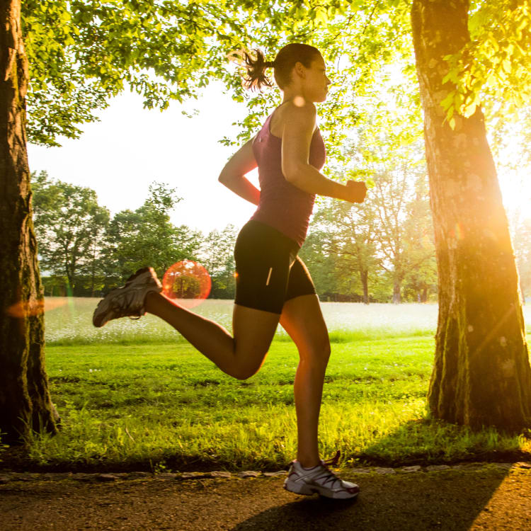 Running paths near Haddon Knolls Apartments