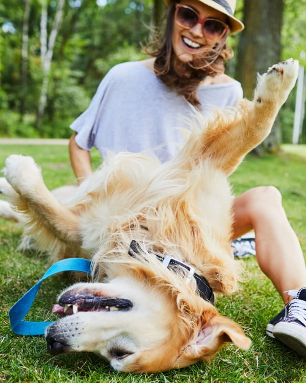 Resident playing with their dog near Palmetto Place in Fort Mill, South Carolina