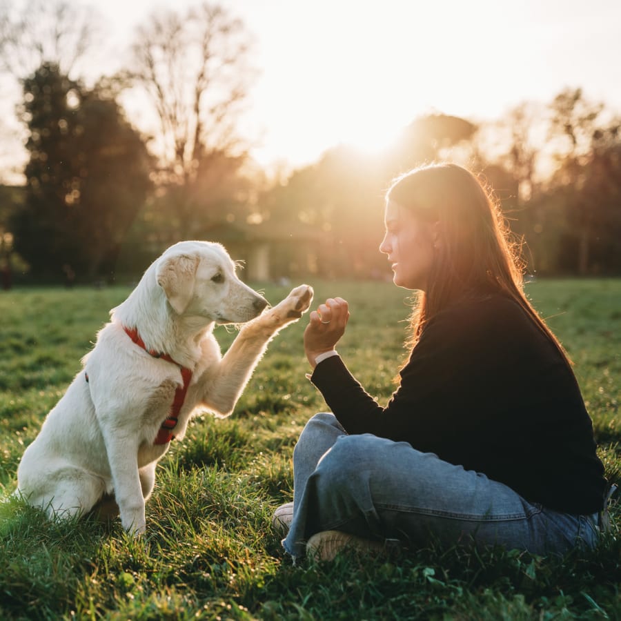 Resident playing with her golden retriever outside at The Rey on Reynolds in Duluth, Georgia 