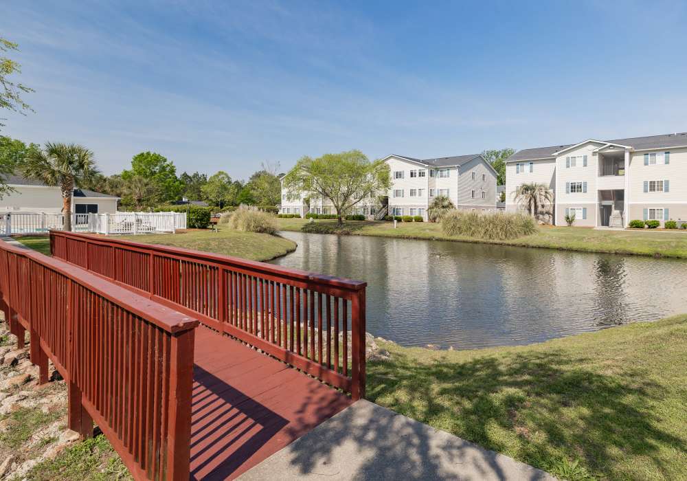 Beautiful walking trail with a foot bridge going over a lake at River Landing in Myrtle Beach, South Carolina