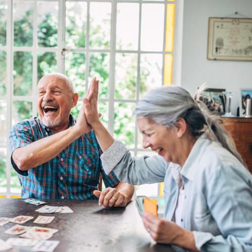Residents enjoying a game at Truewood by Merrill, Venice in Venice, Florida. 