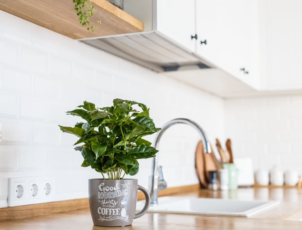 Vista Pointe Apartments' in-home features in Santa Clara, California