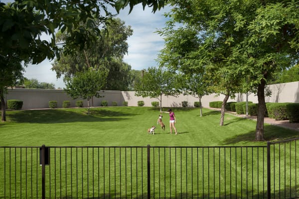 Spacious and enclosed dog park at San Marbeya in Tempe, Arizona