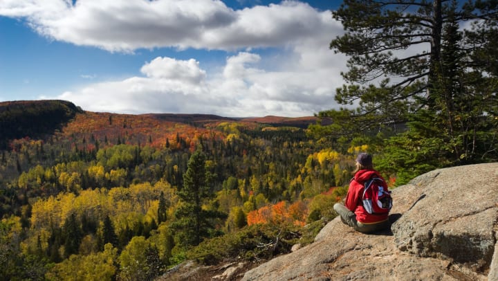 A person sits atop a rock, looking out over colorful forest land