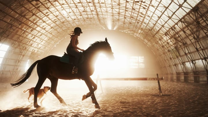 a majestic silhouette of a horse and female rider galloping with a jump behind them in an indoor horseback riding barn | horseback riding near Raeford
