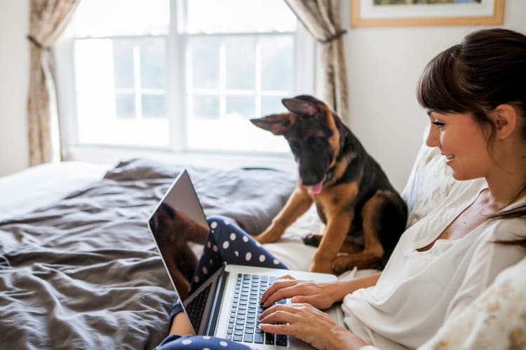 Resident working on her computer while her puppy stands watching next to her at Trails of Towne Lake in Irving, Texas