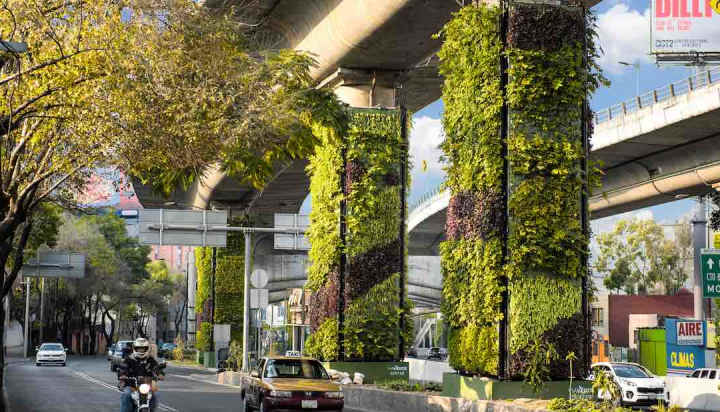 The Via Verde project, Mexico City at {{location_name}} in {{location_city}}, {{location_state_name}}