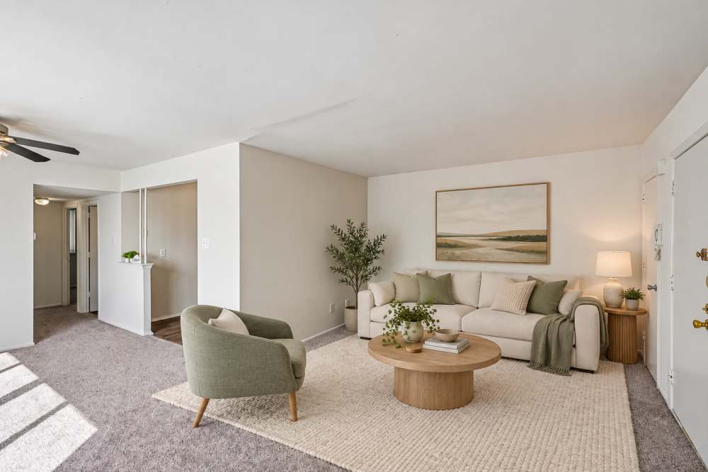 Carpeted and Well-lit Living Room with Large Window at Brookmont Apartment Homes in Philadelphia, Pennsylvania