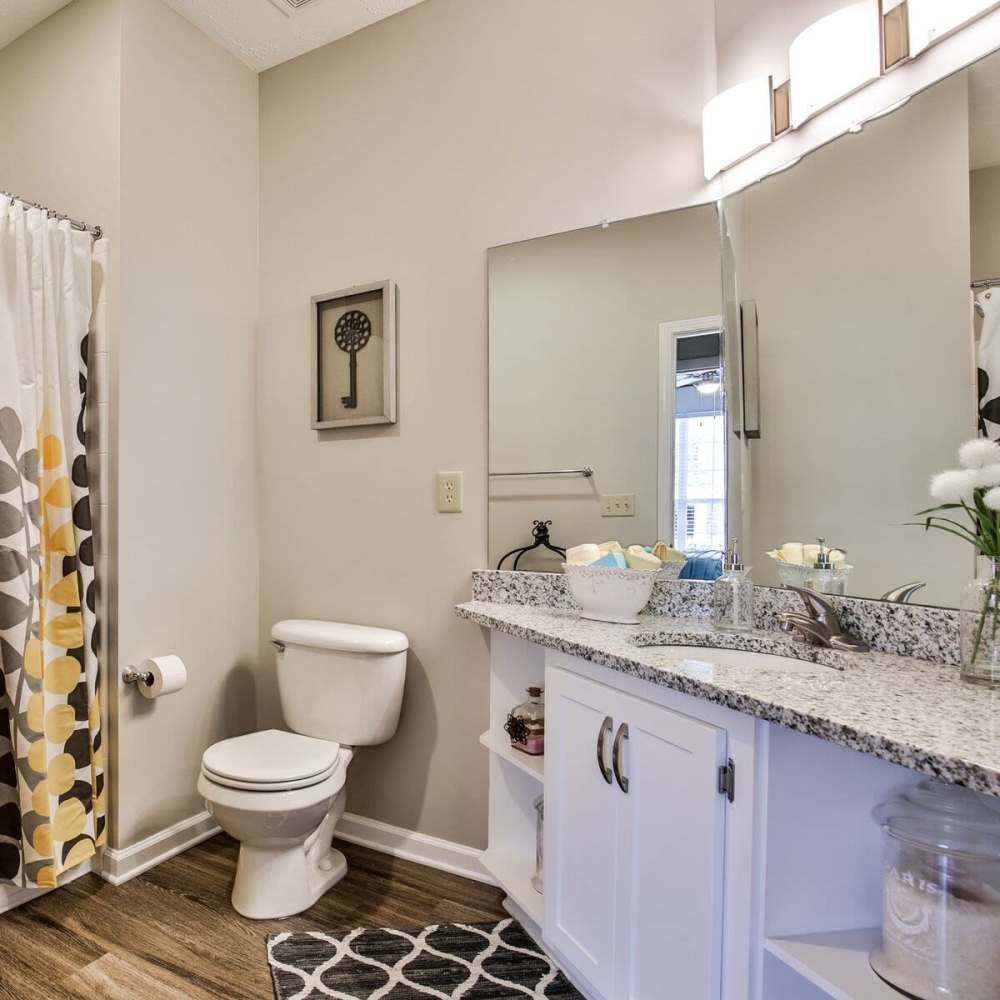 Bathroom with vanity lights at Avonlea Highlands in Cartersville, Georgia