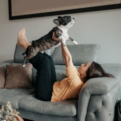 Resident playing with her dog on the couch in their pet-friendly home at K Street Flats in Berkeley, California