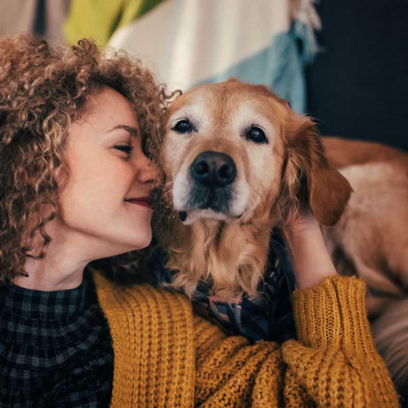 A happy dog with its owner at Arbor Grove, Stafford, Virginia