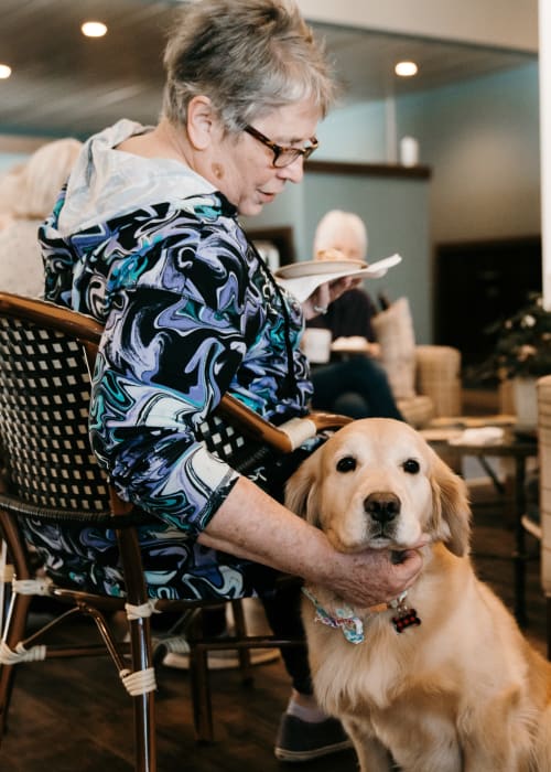 Resident sitting in the lounge with a golden retriever at The Pillars of Prospect Park in Minneapolis, Minnesota