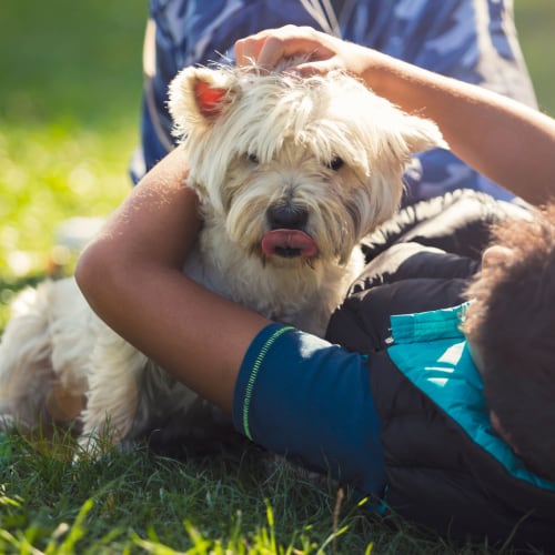 A child playing with a dog in the grass at San Onofre I in San Clemente, California