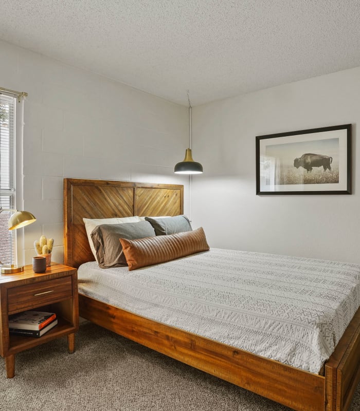 Spacious carpeted bedroom at The Phoenix Apartments in El Paso, Texas