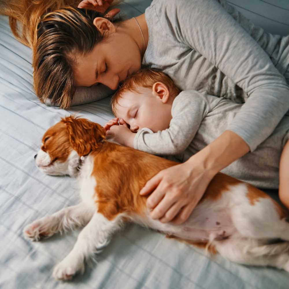 Resident holding her son with her dog on the bed at Birch and Branch Apartments in Raleigh, North Carolina