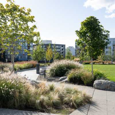 Lush greenery at Nightingale in Redmond, Washington