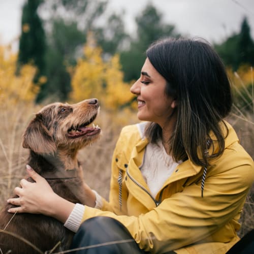 Woman petting her dog at Uplund in Kirkland, Washington