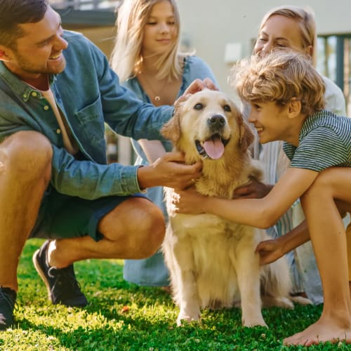 A family petting their dog outside at Integra Trails in Cocoa, Florida