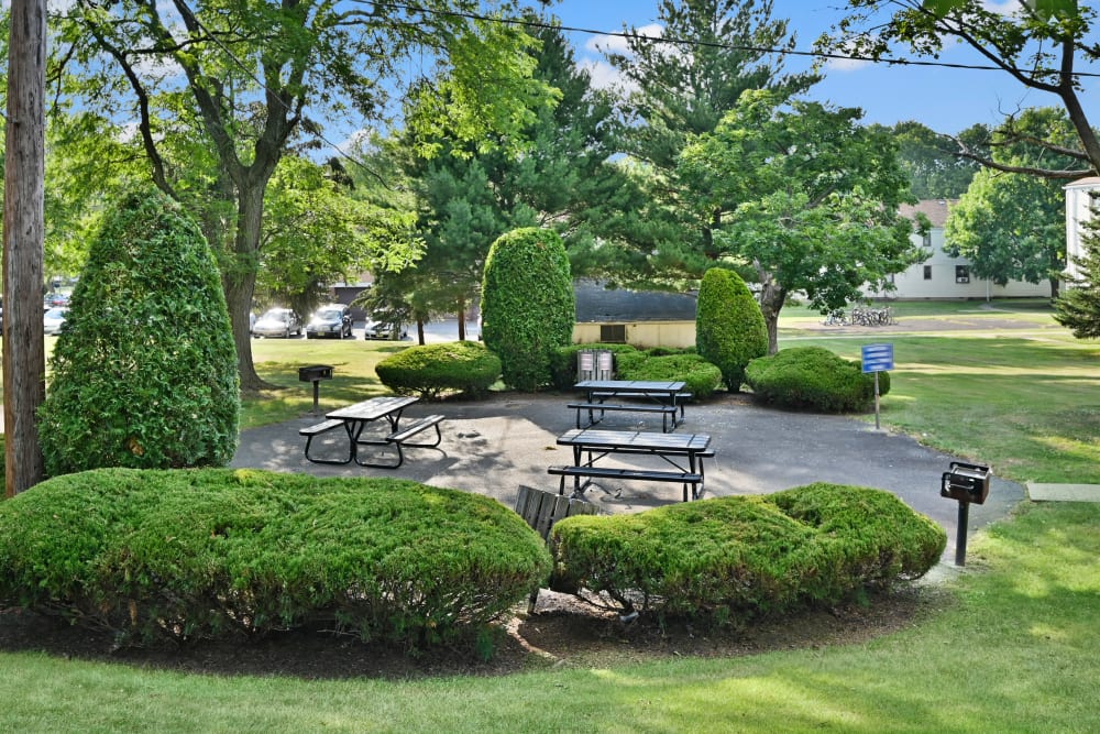 Outdoor Picnic Area at Richfield Village Apartments in Clifton, New Jersey