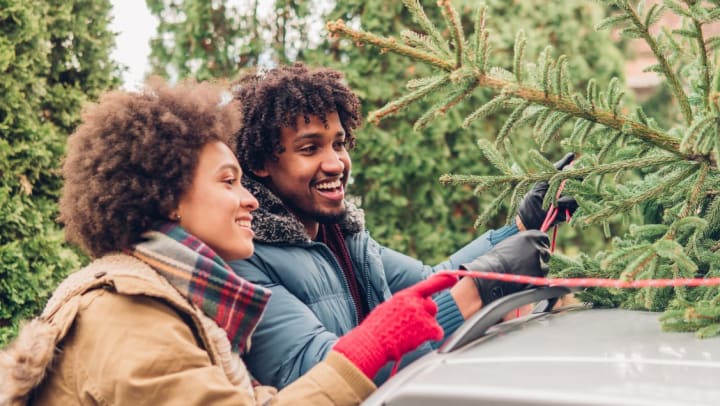 Young couple putting a fir tree on the roof of a car | Holiday Activities Around Tampa
