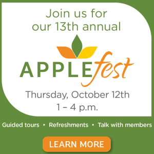 Applefest for Applewood Pointe 