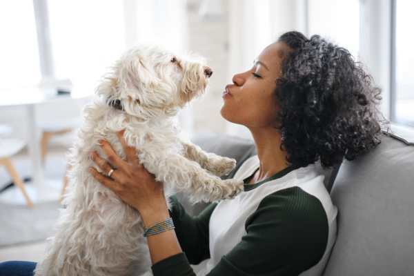 Resident and her dog playing on the couch in the living room at The Yards At Union Station in Portland, Oregon