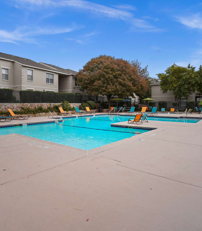 Pool  at The Phoenix Apartments in El Paso, Texas
